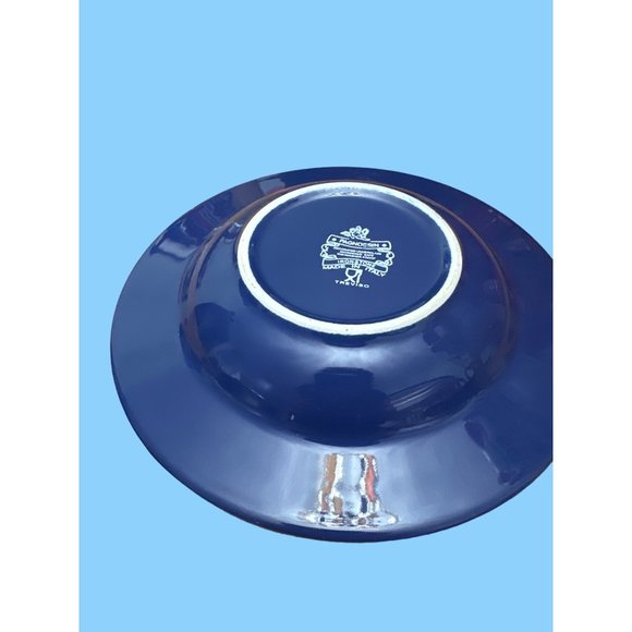 Pagnossin Treviso Ironstone Blue & Orange Pasta Bowls & Salad Plates - Picture 9 of 11